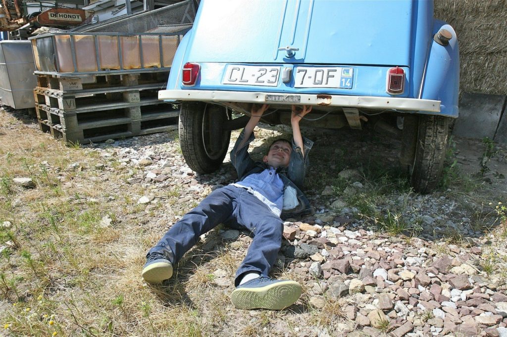 Školství v ČR, lepší, světlejší budoucnost, branná výchova, zahrádky a dílny do každé školy